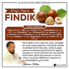 Https Www Instagram Com Harikabilim Meyve Tohum Iman