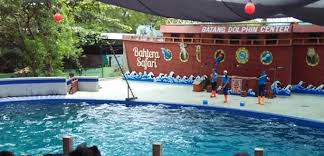 Wisata pantai batang daftar objek wisata terbaik dengan pemandangan spektakuler sangat recomended dan populer bagi wisatawan maupun traveller saat liburan. Pesona Pantai Sigandu Batang Dengan Dolphin Center Nya Boladiens Adventure