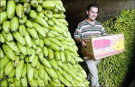 「厄瓜多」的圖片搜尋結果