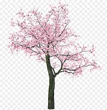 Sakura uchiha (うちはサクラ uchiha sakura née haruno (春野)) is a kunoichi of konohagakure. Sakura Png Spring Tree Clip Art Png Image With Transparent Background Toppng