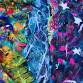 Barnsdale Gardens: Wet Felted Scarf event image