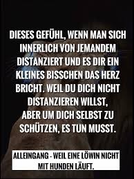 Alleingang Weil Eine Lowin Nicht Mit Hunden Lauft Spruche Nachdenkliche Spruche Weisheiten Spruche