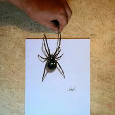 Realistic 3d Spider Drawing Spider 3d Art Drawing Zeichnung Animal Spinne Illusion Spider Drawing Realistic Drawings Creative Drawing