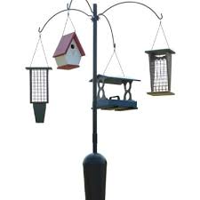 It is made of resin, so you won't have to worry about it rusting. 12 Best Bird Feeder Poles In 2021 Yes It Matters World Birds
