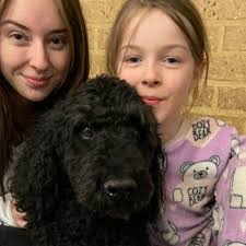 Fundraiser for Jodie Gesmundo by Nikky Hill : The Battle for Bentley