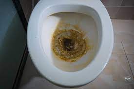 How To Remove Hard Water Stains From Your Toilet Castle Keepers