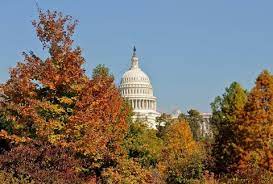 El tiempo cerca de washington. Clima Y Temperaturas En Washingtin Cuando Es Mejor Viajar