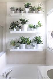 This shelf isn't just for storing bathroom reading materials. Floating Bathroom Shelves What S Best For Plants