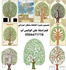 تحديث ورسم وتصميم شجرة العائلة بشكل احترافي