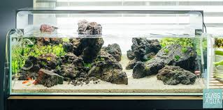Now that you already determined the ideal location and dimensions of your tank, it is time to think about your planted aquarium style. Aquascaping Aquarium Plants Chicago