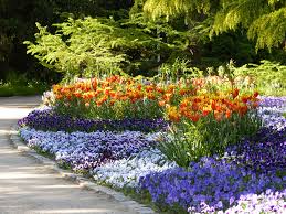 Pin Auf Beautiful Gardens