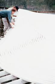 Bildergebnis für Robert Stackhouse