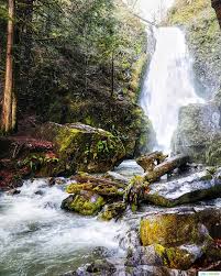 This creekside cabin is in the woods west of cottage grove, placing it within the solitude of the western cascade foothills. Waterfalls In Southern Oregon Susan Creek Falls Urban Bliss Life