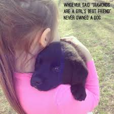 Dogs are not our whole life, but they make our lives whole. Black Lab Labrador Puppy Quote Whoever Said Diamonds Are A Girl S Best Friend Never Owned A Dog Https Www Fa Puppies Puppy Quotes Labrador Retriever