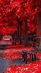 Nature Beautiful Zedge Wallpaper Standard 4:3 5:4 3:2 fullscreen uxga xga svga qsxga sxga dvga hvga hqvga. nature beautiful zedge wallpaper