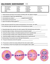 Mitosis coloring mitosis practice answer key cumulative topic 3 mitosis cell cycle teaching biology mitosis coloring key by biologycorner teachers pay teachers mitosis coloring homework mitosis worksheet the biology corner phases of meiosis worksheet free. Reinforcement Cell Division
