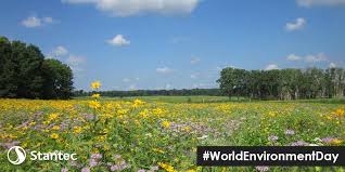 Maybe you would like to learn more about one of these? O Xrhsths Stantec Sto Twitter Since 1916 Deer Grove Forest Preserve Has Been A Vital Asset To Cook County Il For More Than A Decade We Ve Been Helping Revitalize And Restore Its