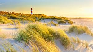 Vegan and vegetarian restaurants in sylt, germany, directory of natural health food stores and guide to a healthy dining. Sylt Sport Wellness Nature And Fine Dining In The North Sea Germany Travel