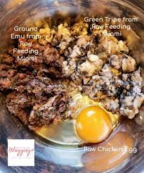 Easy Raw Dog Food Recipe With Emu And Tripe Raw Dog Food Recipes Easy Raw Dog Food Recipe Dog Food Recipes