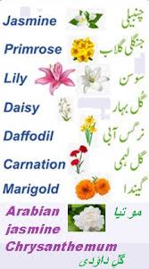 Check spelling or type a new query. Know Flower Name In Urdu And English Meaning With Images Fusionstories