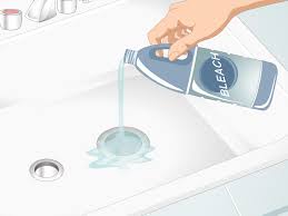 get rid of gnats in the kitchen