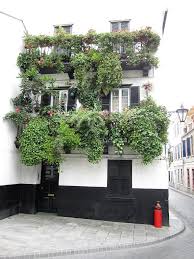 Gibraltar Gorgeous Window Balcony Plants By John Shiron With Images Balcony Plants Gorgeous Windows Plants