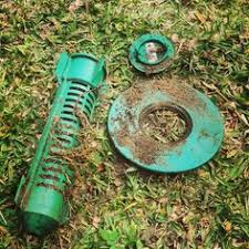 We choose to monitor them every 3 months. 23 Termites Ideas Termites Termite Control Termite Infestation