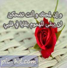 حالات واتس اب حب صور حب حالات واتساب floral floral rings rose