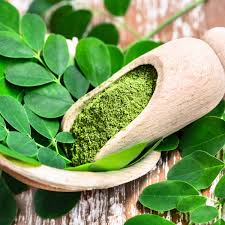 Moringa: properties, what it is used for + recipe