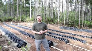 Keep in mind that your location can change the cost from one end of the pricing spectrum to the other. Cost Of Septic System Install 5 Youtube