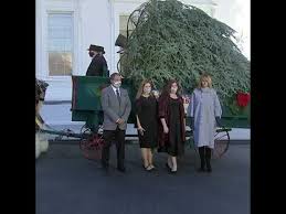 There is also a christmas village hospital figurine, as shown in the clip. Melania Trump Receives 2020 White House Christmas Tree Abc News Youtube