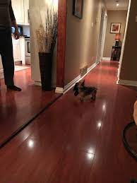 It also works well in certain minimalist, contemporary and modern style interiors. Reddish Laminate Floors What Wall Color Will Work Laurel Home