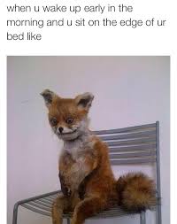When You Wake Up Meme 35 Images Waking Up In The Morning Up Early Waking When You Up From A Nap And Don T What Century It When You Up Early