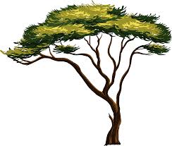 Clipart Of Africa African And Tree Beautiful Easy Drawing Nature Transparent Cartoon Jing Fm Contact drawing nature on messenger. jing fm