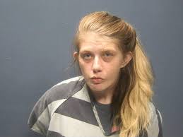 GOINS, JOAN P Charges: SHOPLIFTING (FELONY) This information and more is  available at isoms.seviercountytn.org:9000/Jail?hours=2