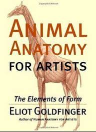 Download Animal Anatomy For Artists Pdf Free Anatomy For Artists Human Anatomy For Artists Animal Anatomy