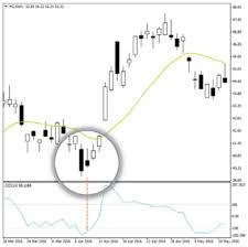 how to download your wallet bitcoin ethereum candlestick chart