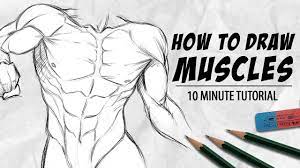 How To Draw Muscles In 10 Minutes | Sixpack, Arms And Chest | Drawlikeasir  - Youtube