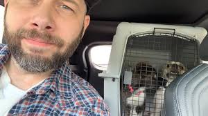 Jay Pettit (@jay_p1984) • Instagram photos and videos