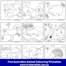 Search through 623,989 free printable colorings at getcolorings. Australian Animals Colouring Pages Brisbane Kids