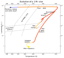 Stellar Evolution Wikipedia