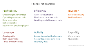 It simply takes net income and divides it by shareholder equity. Financial Ratios Analysis Plan Projections