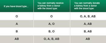 Conclusive Blood Donor And Recipient Chart Blood Donor Types