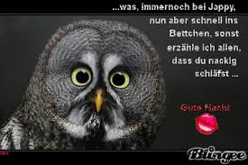 Kostenlose gute nacht bilder gifs grafiken cliparts anigifs images animationen from www.123gif.de the best gifs are on giphy. Gute Nacht Kostenlose Gastebuchbilder