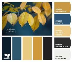 Black And White Color Scheme Family Photos Color Scheme Black 2 Tone Grey Instead Of White Black Color Palette Blue Color Schemes Color Palette Yellow