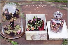 Check spelling or type a new query. One Hitched Lane Diy How To Preserve Wedding Flowers I Like The Glass Display But I M Not Sure Dried Flowers Dried Flowers Wedding How To Preserve Flowers