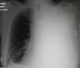 اجمل بنات