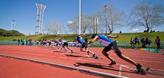 Aquí encontrarás las discusiones, las entrevistas, las noticias y el análisi. Deportes Argentina Gob Ar