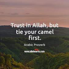 .a few days ago some mail was forwarded here.tie ur camel first, then put ur trust in god. Trust In Allah But Tie Your Camel First Idlehearts