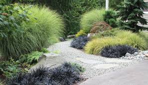 Bliss Garden Design Ornamental Grass Landscape Landscape Design Grasses Landscaping